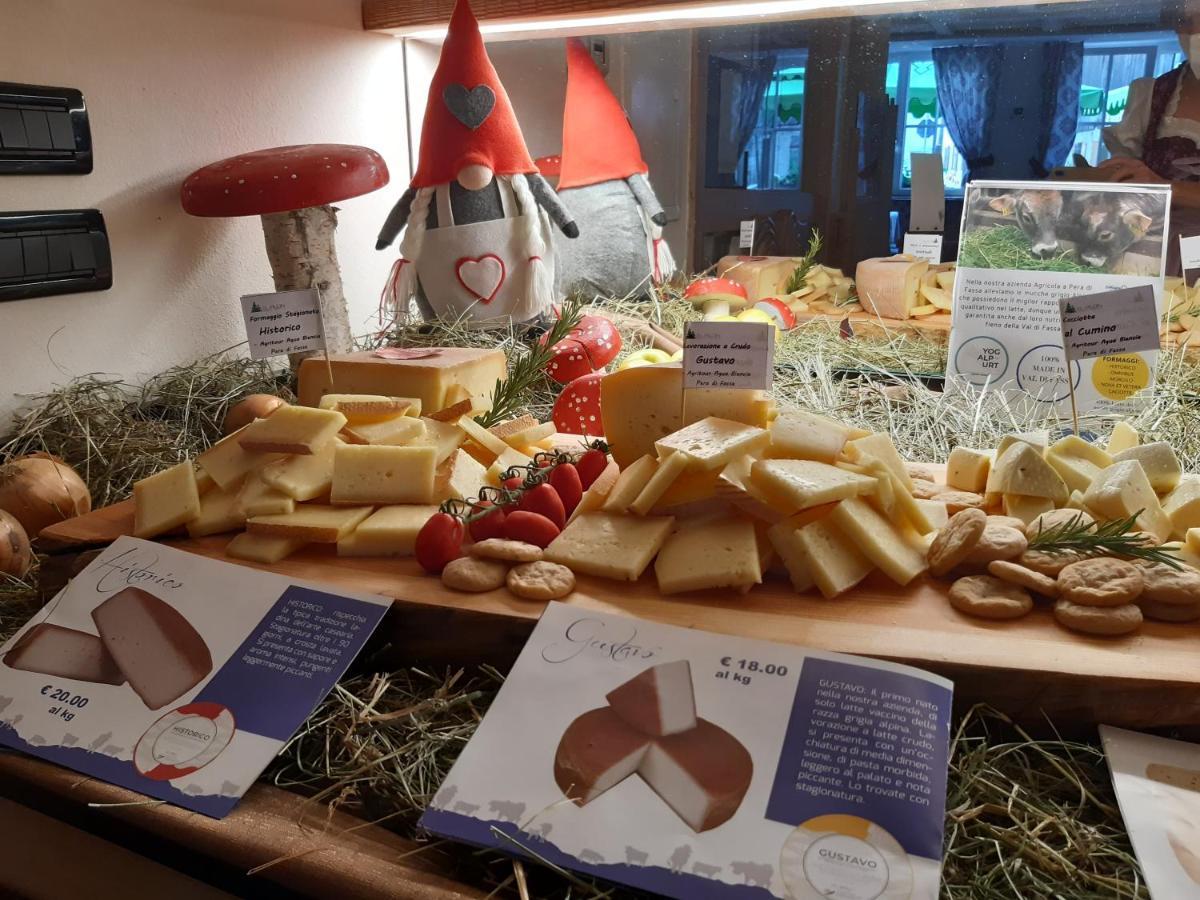 Hotel El Pilon Pozza di Fassa Eksteriør billede